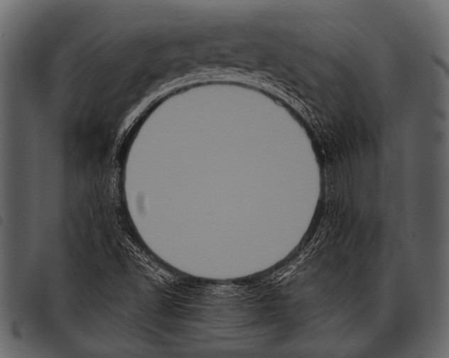 X0000097491502200803201519