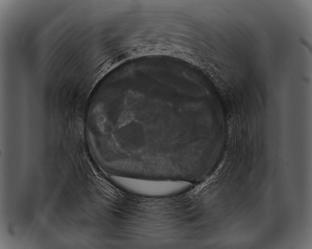 X0000097491505200803201519