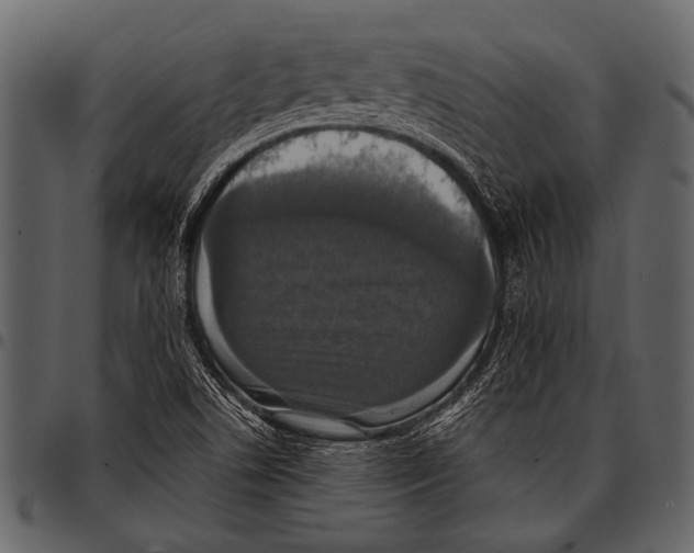 X0000097491506200803201519