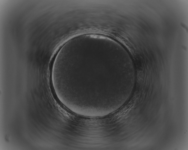 X0000097491508200803201519