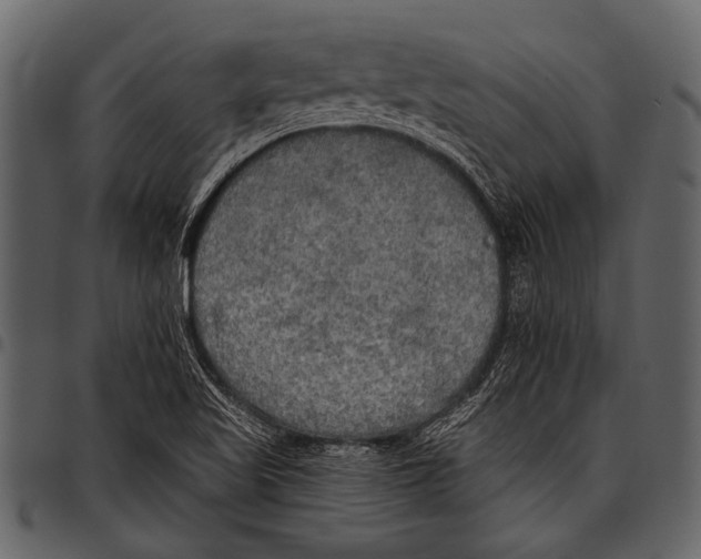 X0000097491509200803201519