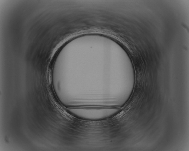 X0000097491510200803201519