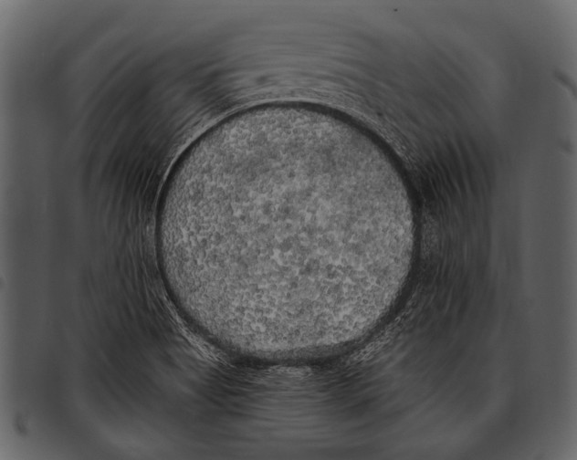 X0000097491513200803201519