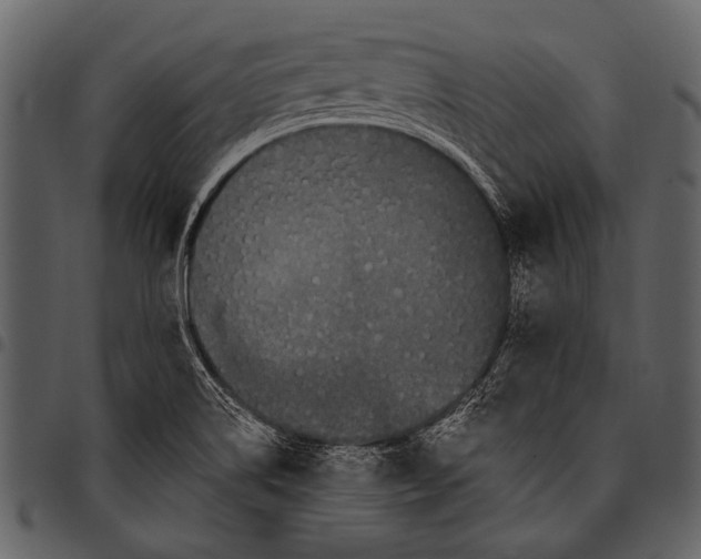 X0000097491514200803201519