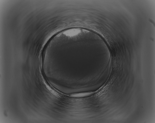 X0000097491515200803201519