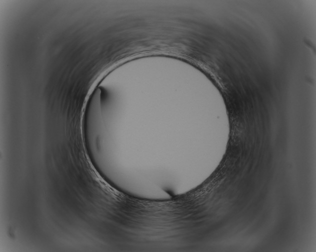 X0000097491516200803201519