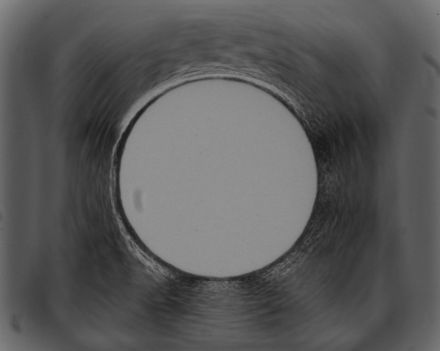 X0000097491518200803201519