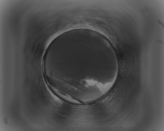 X0000097491519200803201520