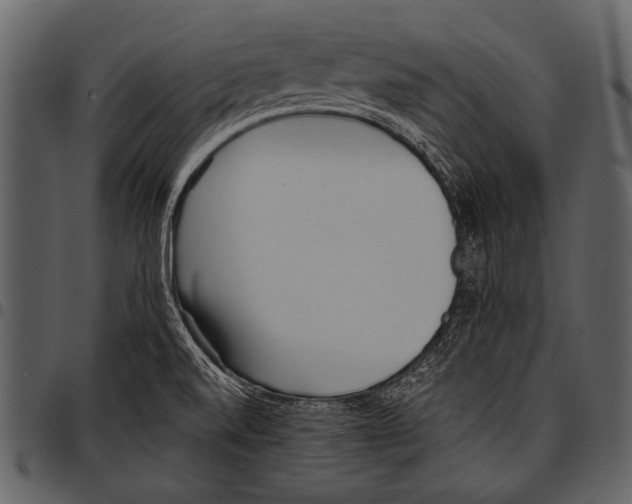 X0000097491520200803201520