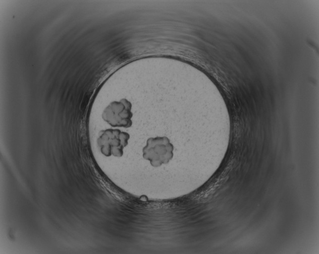 X0000097491521200803201520