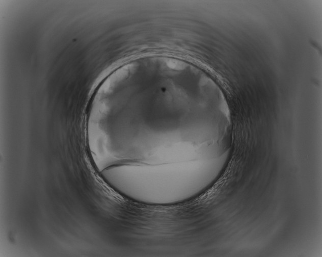 X0000097491522200803201520