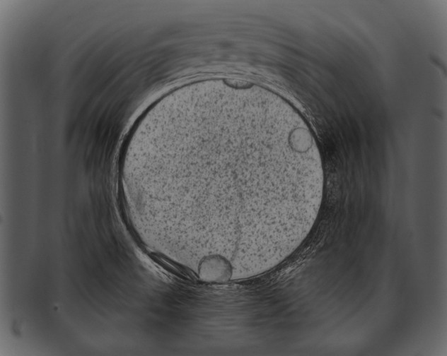 X0000097491523200803201520