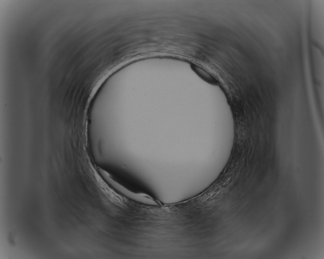 X0000097491524200803201520