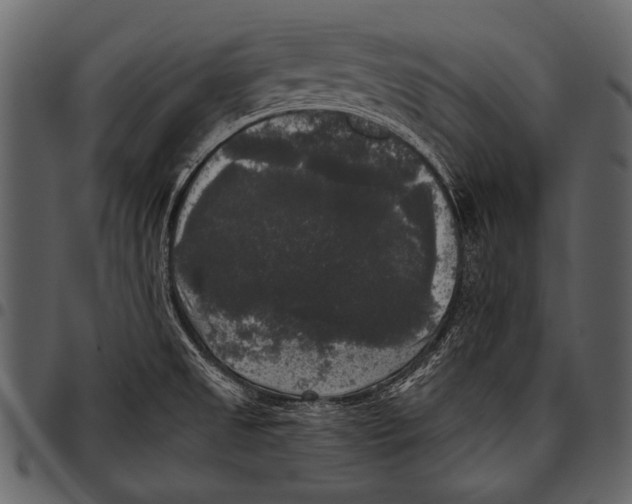 X0000097491525200803201520