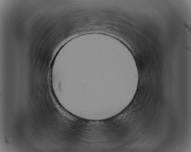 X0000097491526200803201520