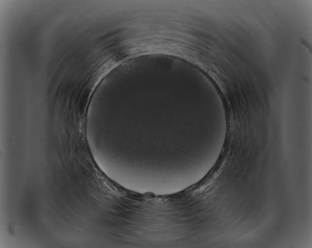 X0000097491529200803201520