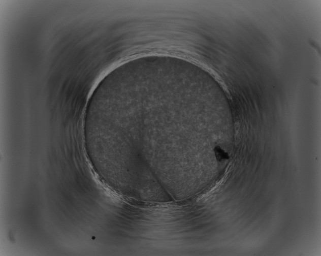 X0000097491530200803201520