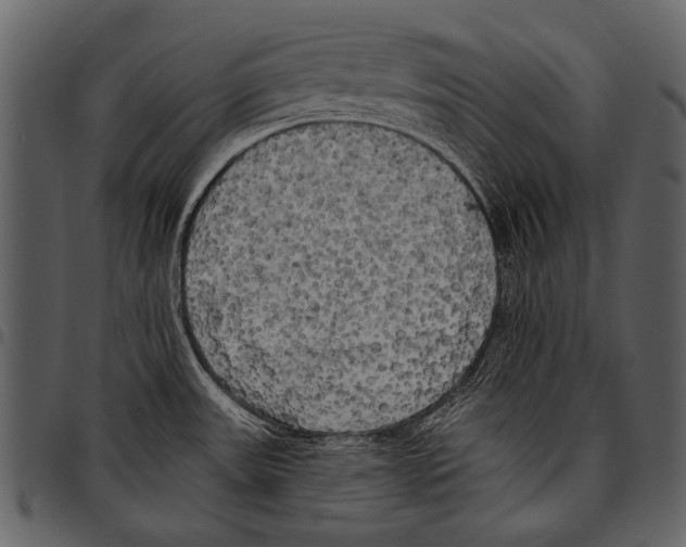 X0000097491531200803201520