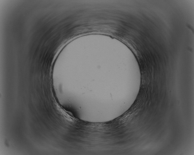 X0000097491532200803201520