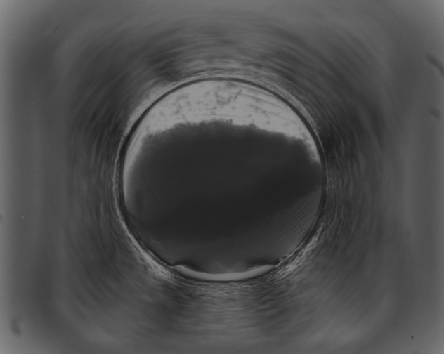 X0000097491533200803201520