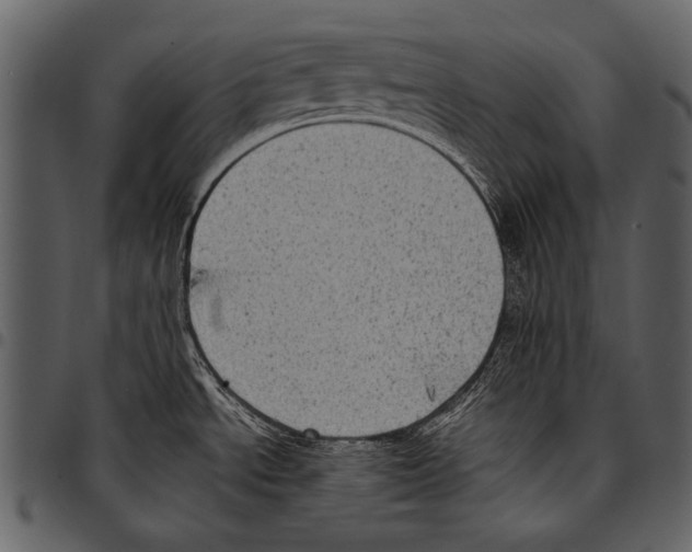 X0000097491534200803201520