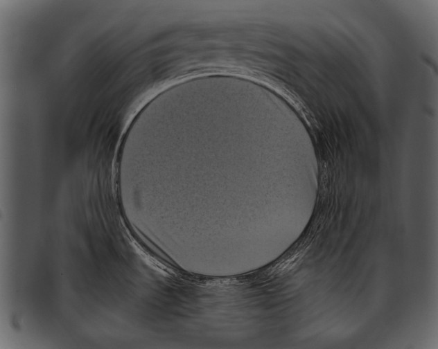 X0000097491535200803201520