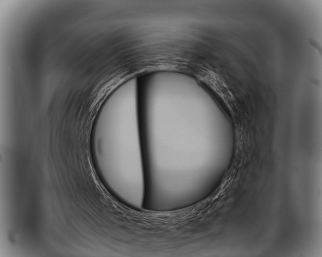 X0000097500001200802220852