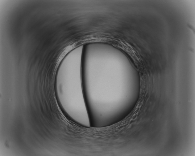 X0000097500003200802220852