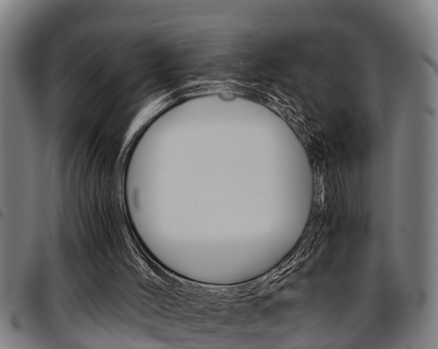 X0000097500004200802220852