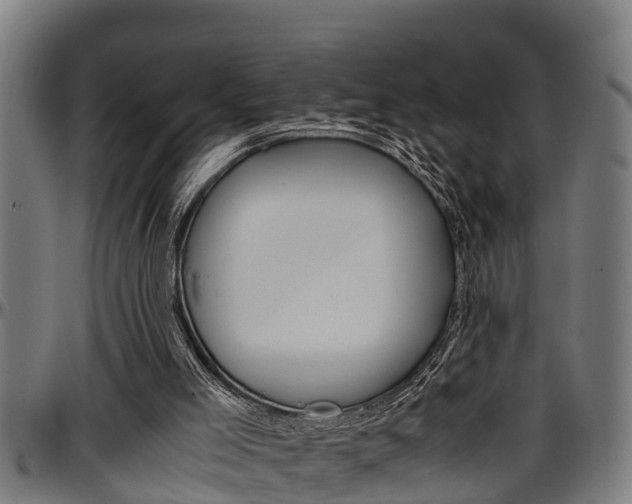 X0000097500005200802220852