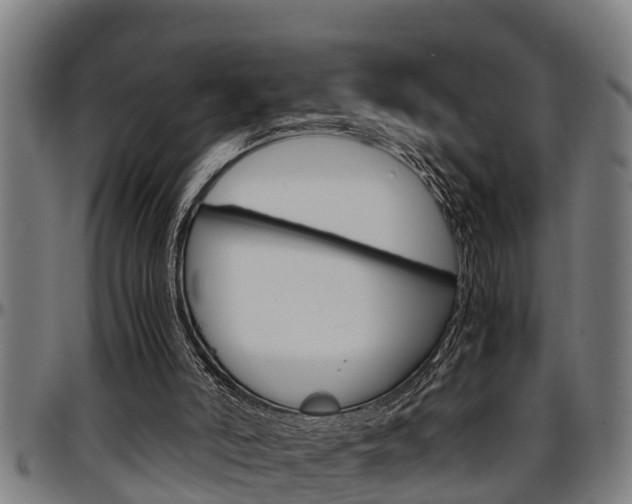 X0000097500006200802220852