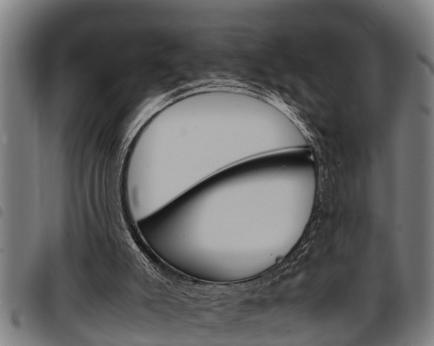 X0000097500007200802220852