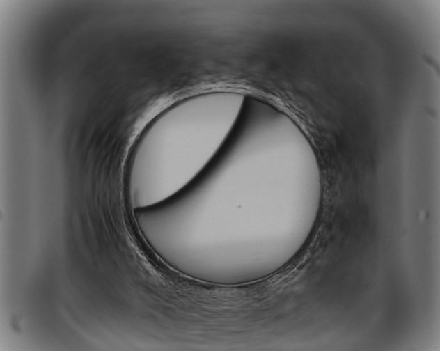 X0000097500008200802220852