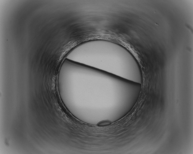 X0000097500010200802220852