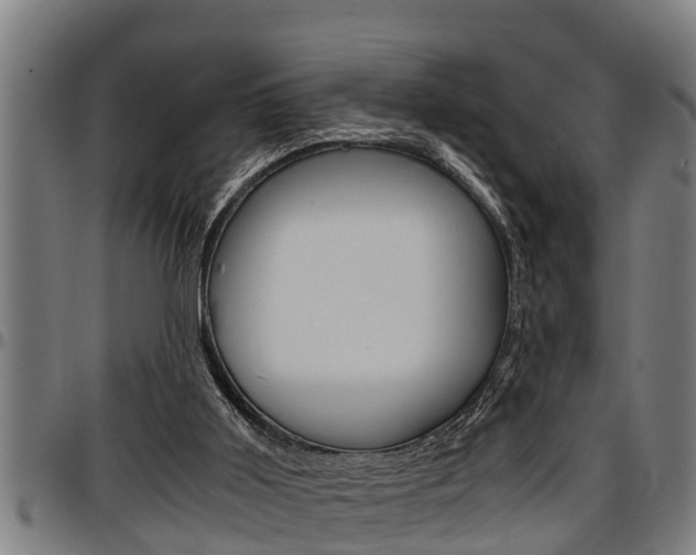 X0000097500011200802220852