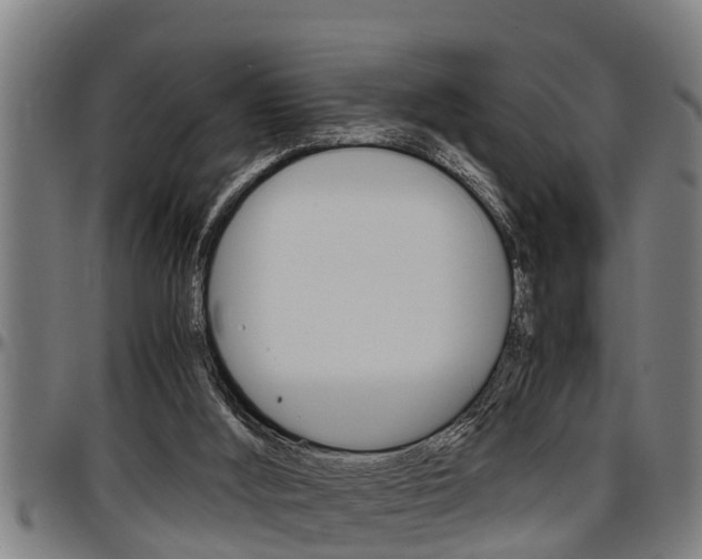 X0000097500012200802220852
