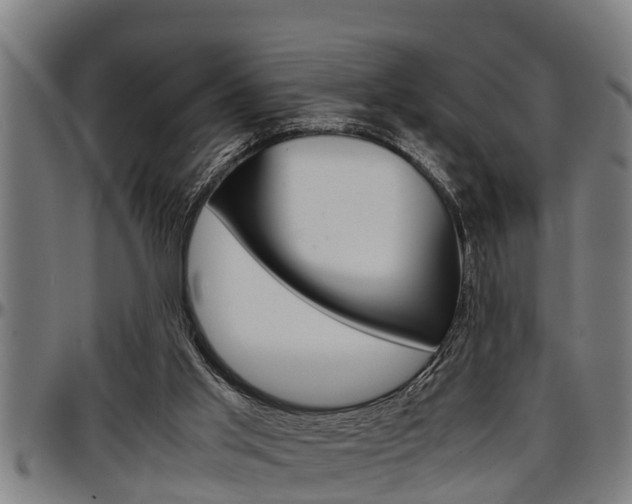 X0000097500013200802220852
