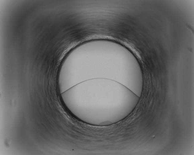 X0000097500015200802220852