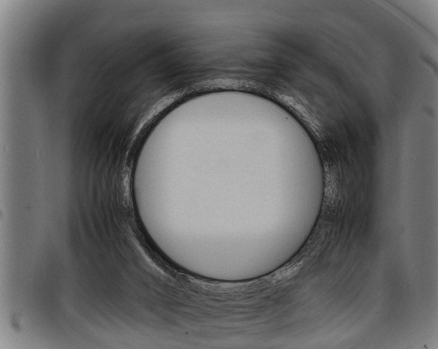 X0000097500016200802220852
