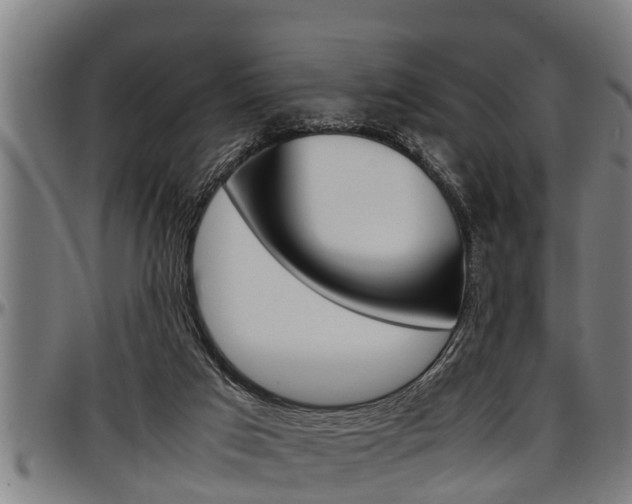 X0000097500017200802220852