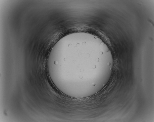 X0000097500018200802220852