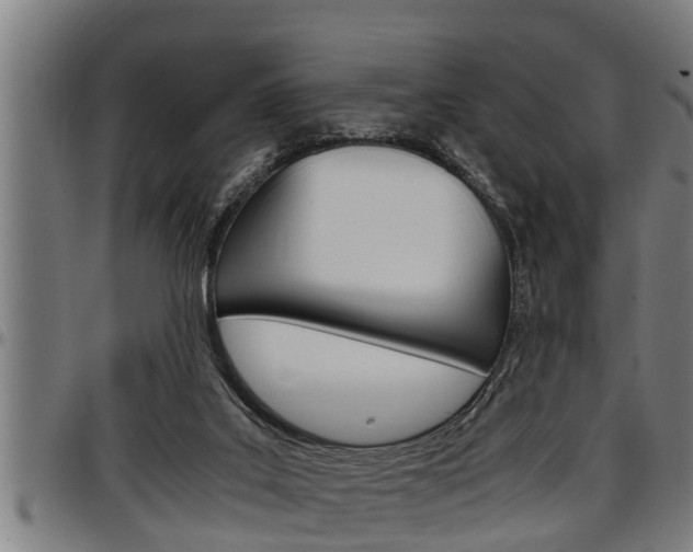 X0000097500019200802220852