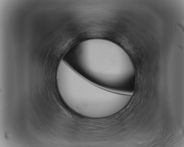 X0000097500021200802220852