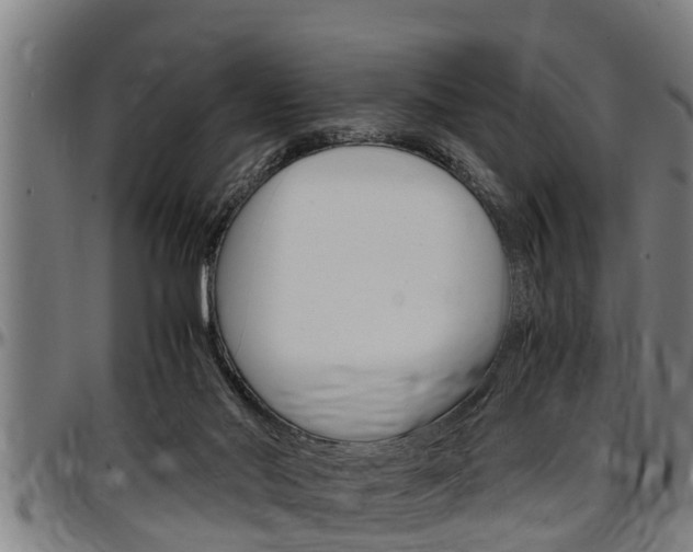 X0000097500022200802220852