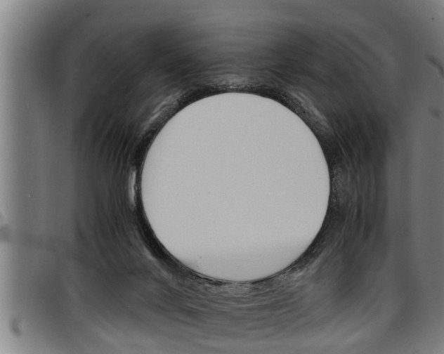 X0000097500024200802220852