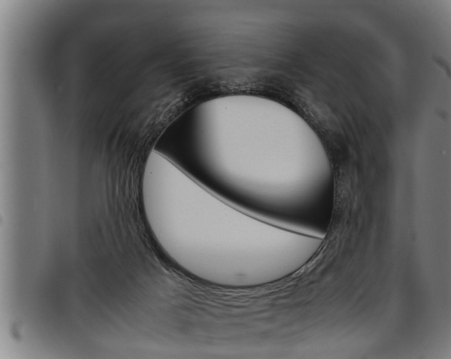 X0000097500025200802220852