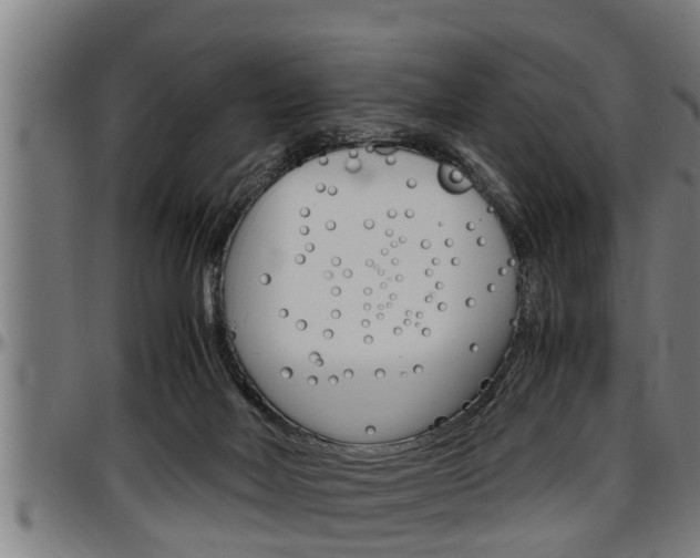 X0000097500026200802220852