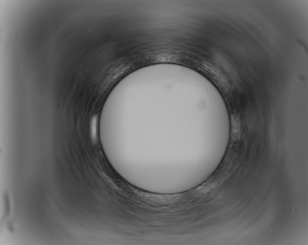 X0000097500028200802220852