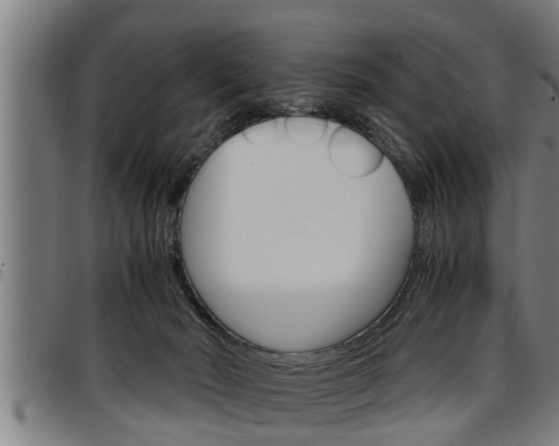 X0000097500030200802220852