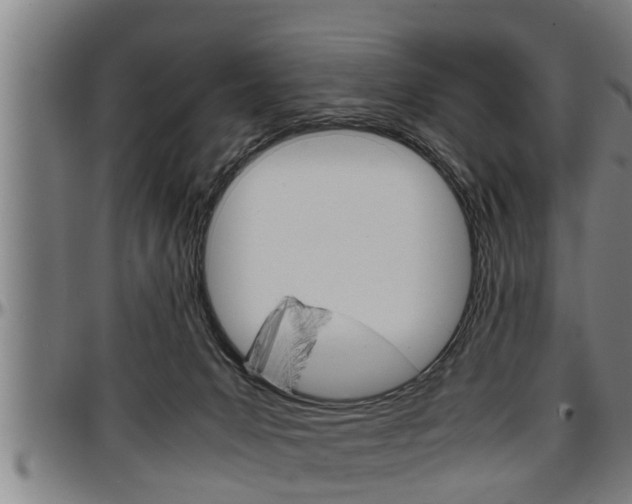 X0000097500031200802220852